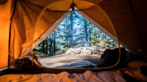 4 Must-have Chinese Medicines for Your Camping Trip